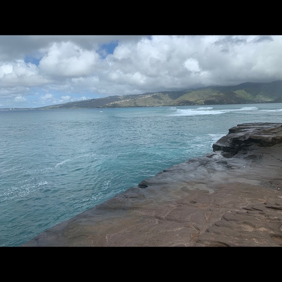 Meet your Posher, Charlie - Picture 1 of 1